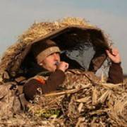 КОНСУЛЬТАЦИИ ДЛЯ НОВИЧКОВ ПО ОХОТЕ НА ГУСЯ!