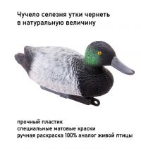 Чучело утки чернеть селезень DUCK MAGNIT