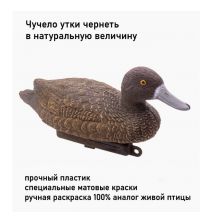 Чучело утки чернеть DUCK MAGNIT