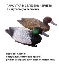 Чучела чернети cелезень и утка DUCK MAGNIT РЕЛЬЕФ