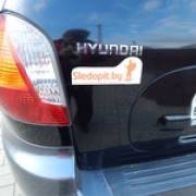 Наклейки на авто от Sledopit.by